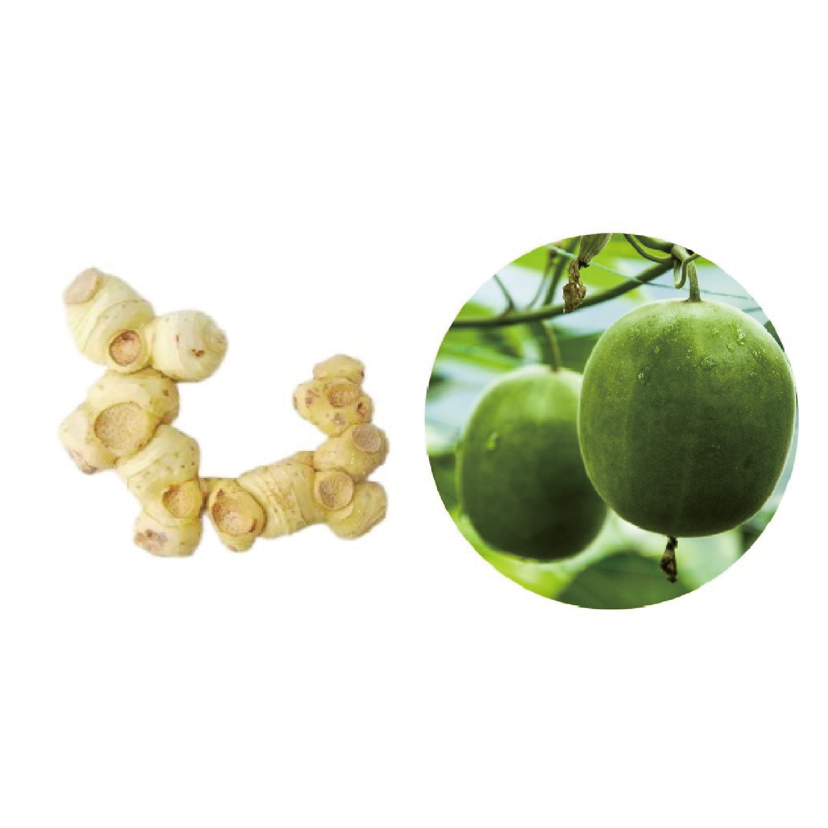 Luo Han Guo & Polygonatum Powder 